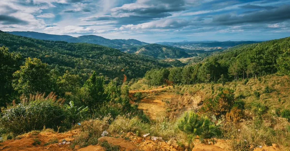 Los Mejores Destinos para Escapadas Fáciles en la Naturaleza