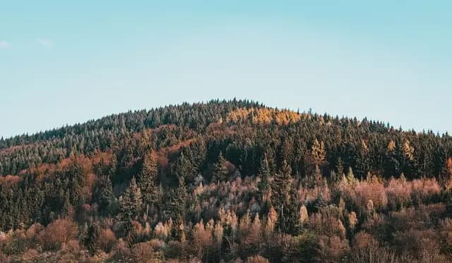 Cómo Planificar una Escapada Fácil en la Naturaleza: Guía Completa