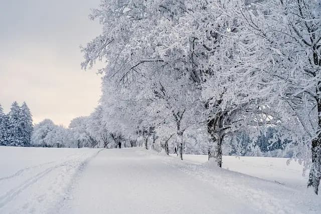 Las Mejores Escapadas Fáciles para Disfrutar de la Naturaleza