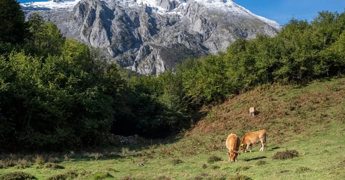 10 Escapadas Fáciles para un Fin de Semana Perfecto