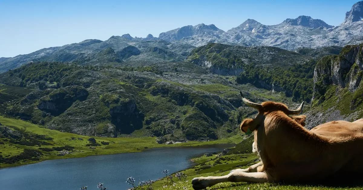 Mejores Destinos para una Escapada de Senderismo en España