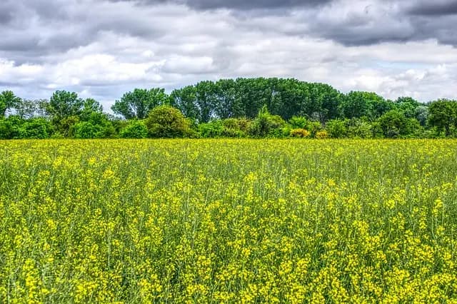 5 Escapadas Fáciles para Disfrutar de la Naturaleza en Primavera