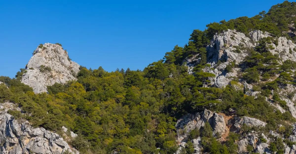 5 Escapadas Fáciles para Conectar con la Naturaleza