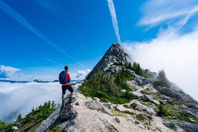 Cómo Planificar una Escapada Fácil al Campo: Consejos Clave