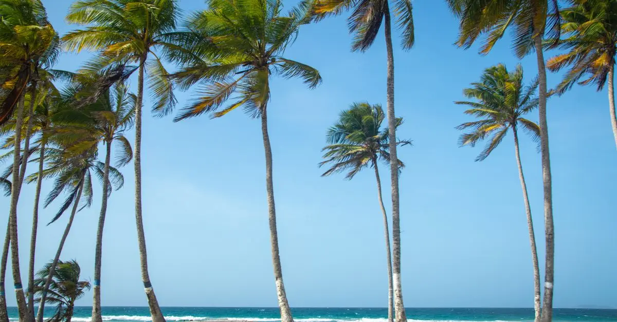 Escapadas Fáciles: Ideas para un Fin de Semana Perfecto
