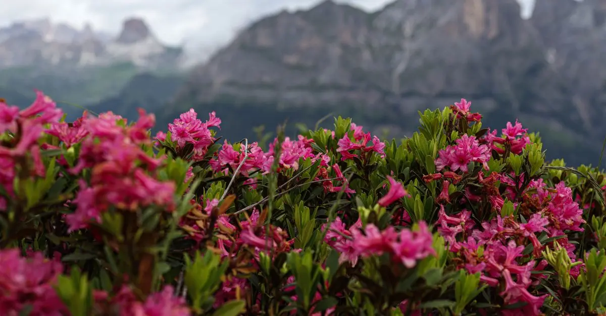 Escapadas Fáciles para Disfrutar de la Naturaleza en Primavera
