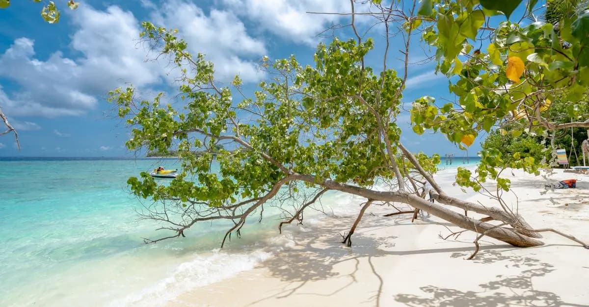 Cómo Elegir la Escapada Perfecta para un Fin de Semana