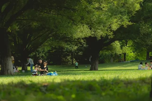 10 Actividades Imprescindibles para una Escapada en Familia