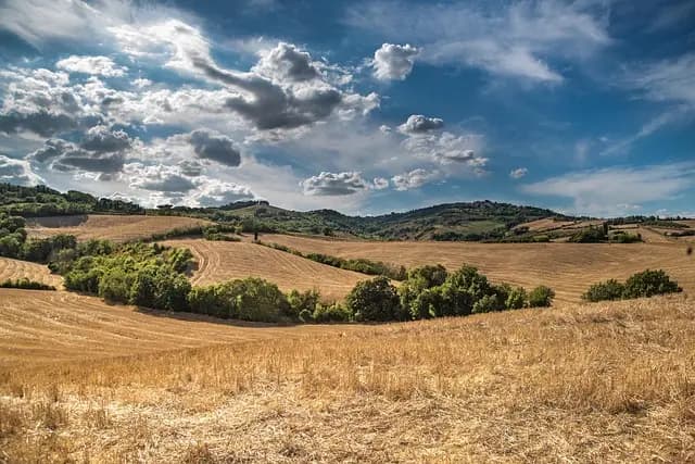 5 Escapadas Fáciles para Disfrutar en el Campo