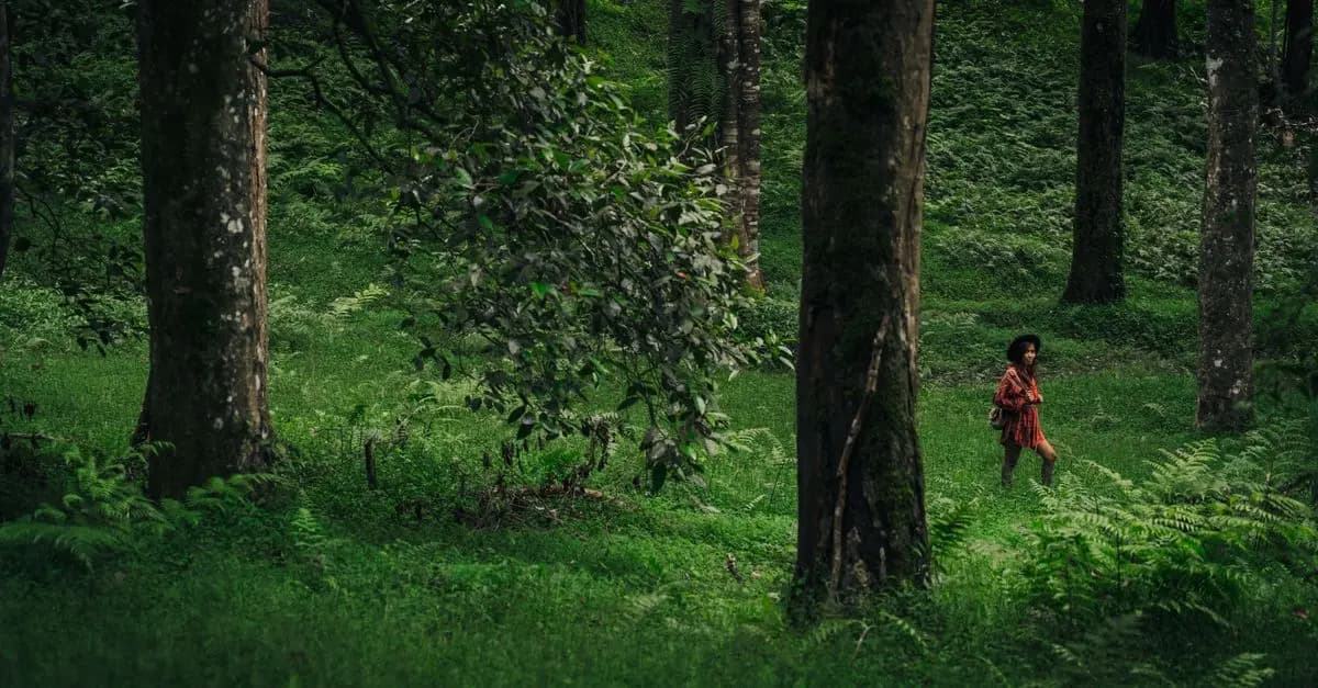 Consejos de Seguridad para Escapadas en Solitario