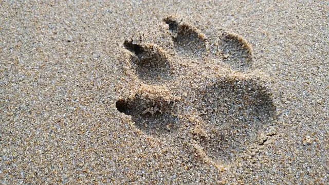 5 Escapadas Fáciles para Disfrutar de la Playa