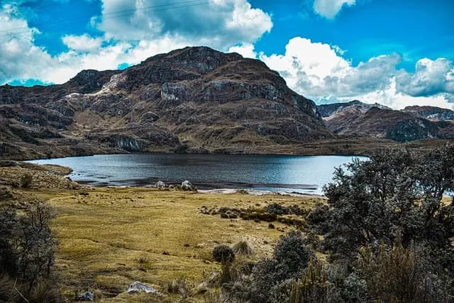 Escapadas Fáciles al Campo: Consejos y Destinos Imperdibles