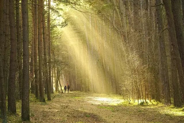 Cómo elegir el destino perfecto para tu escapada fácil