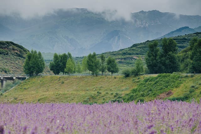 Las Mejores Escapadas Fáciles para Disfrutar de la Naturaleza