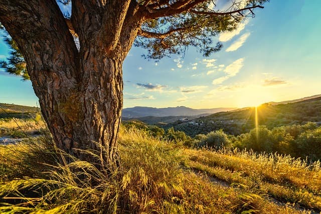 Los Mejores Destinos para Escapadas Fáciles en España