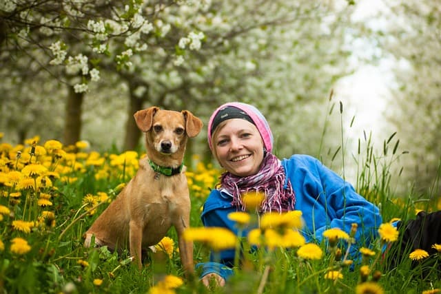Cómo Planificar una Escapada Fácil con Mascotas: Consejos Clave
